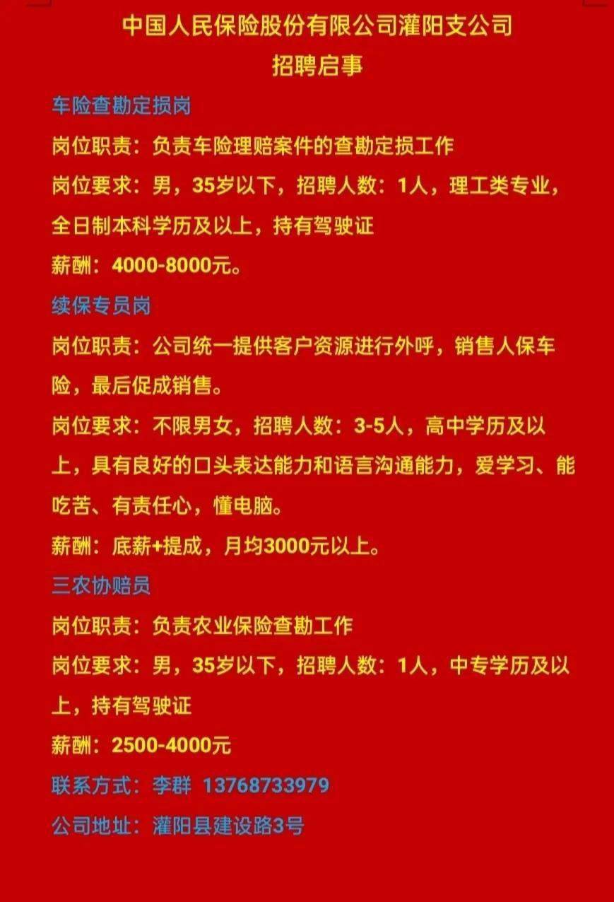 深圳内保最新招聘信息及概述揭秘