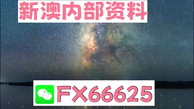 2024新澳天天资料免费大全,最新核心解答落实_潮流版2.773