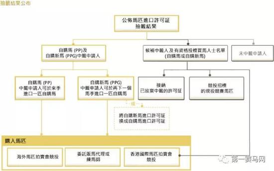 香港特马王资料内部公开,快速计划设计解析_专业款92.703