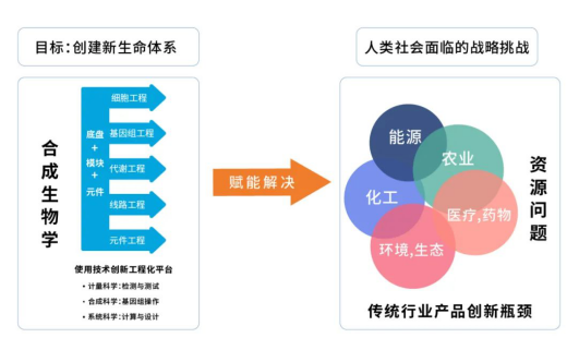 新澳天天免费资料单双,真实数据解释定义_模拟版75.300