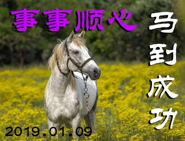 香港马资料更新最快的,实地解答解释定义_精装款55.793