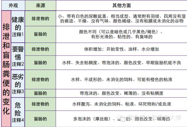 澳门开奖结果+开奖记录表013,权威解析说明_C版63.800