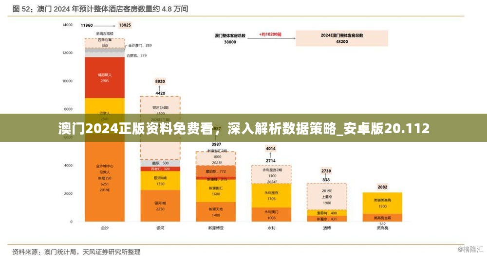 2004年新澳门精准资料,实地数据分析方案_YE版48.375