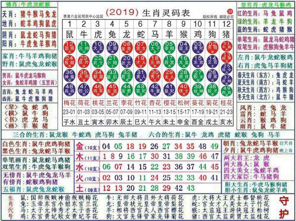 2024最新奥马免费资料生肖卡,稳定设计解析策略_进阶版95.28